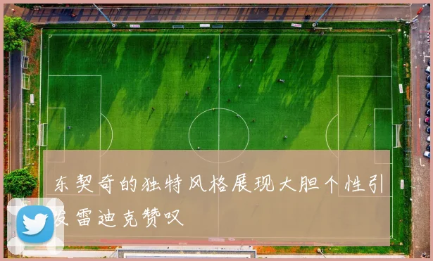 东契奇的独特风格展现大胆个性引发雷迪克赞叹