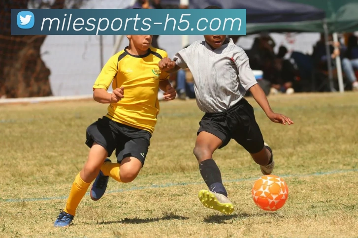 米乐体育发展历程